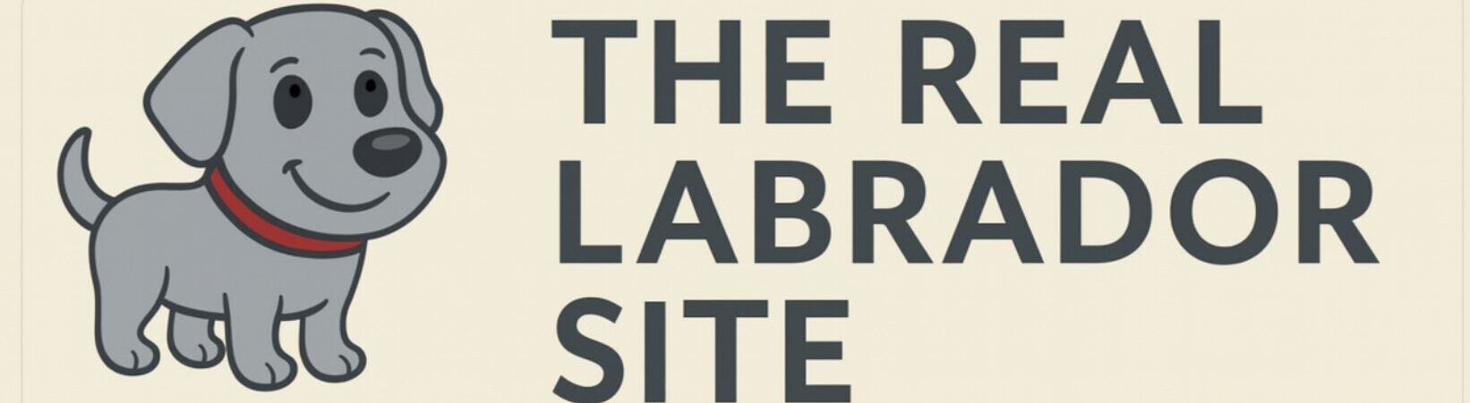 The Real Labrador Site