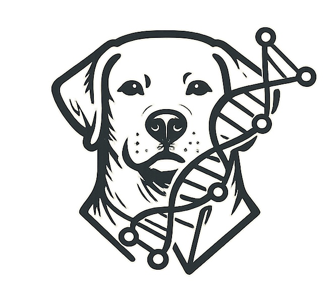 Labrador DNA